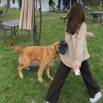 万花迎春