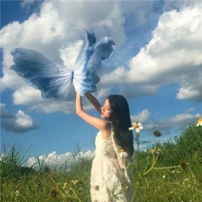 群芳竞艳